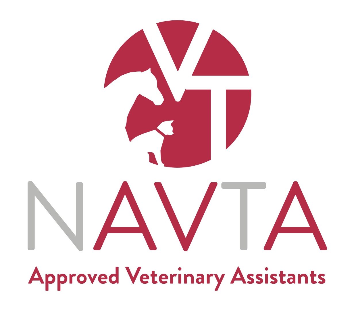 NAVTA Logo AVA aspect ratio 563 492