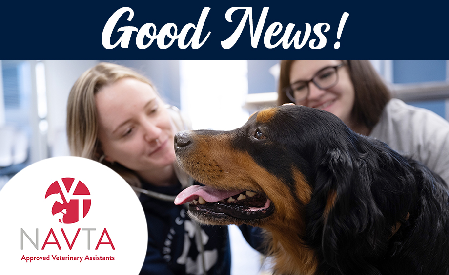 YCCC’s Veterinary Assistant Certificate Program Receives NAVTA Accreditation